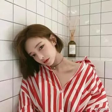 血鲨